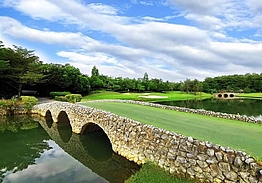 The RG City Golf Club