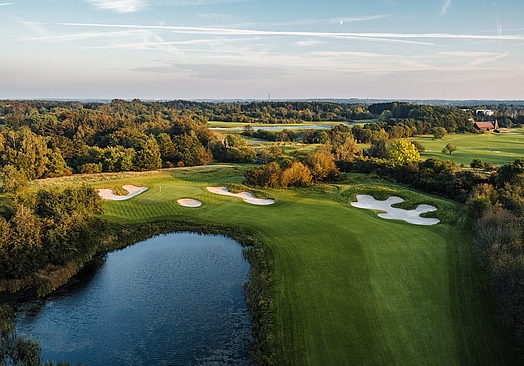 The Scandinavian | New Course