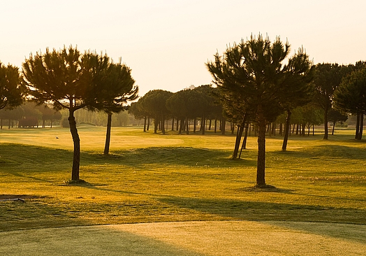 Adriatic Golf Club Cervia | Golf i Emilia Romagna