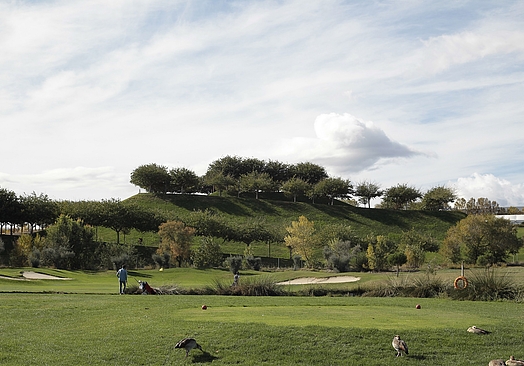 Club de Golf Olivar de la Hinojosa | Golf i Madrid