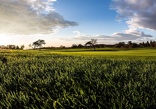 Trieste Golf Club | Golf i Friuli-Venezia Giulia