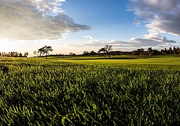 Trieste Golf Club | Golf i Friuli-Venezia Giulia