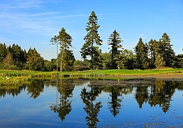 Tulfarris Hotel & Golf Resort Blessington | Golf i Irland