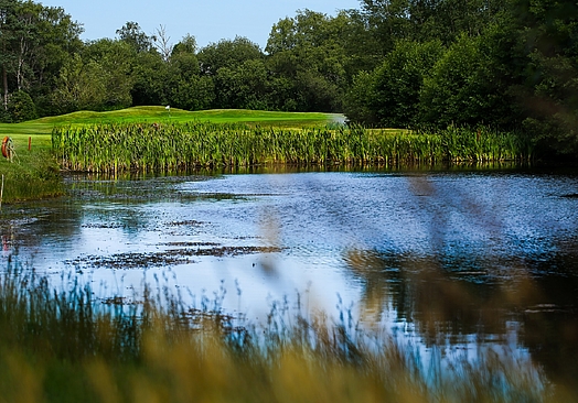 Old Thorns Hotel & Resort | Golf i England