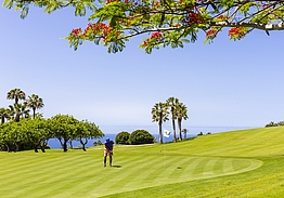 Hotel Jardín Tecina & Tecina Golf