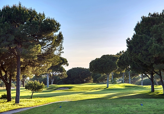 Pinhal Vilamoura | Golf i Algarve