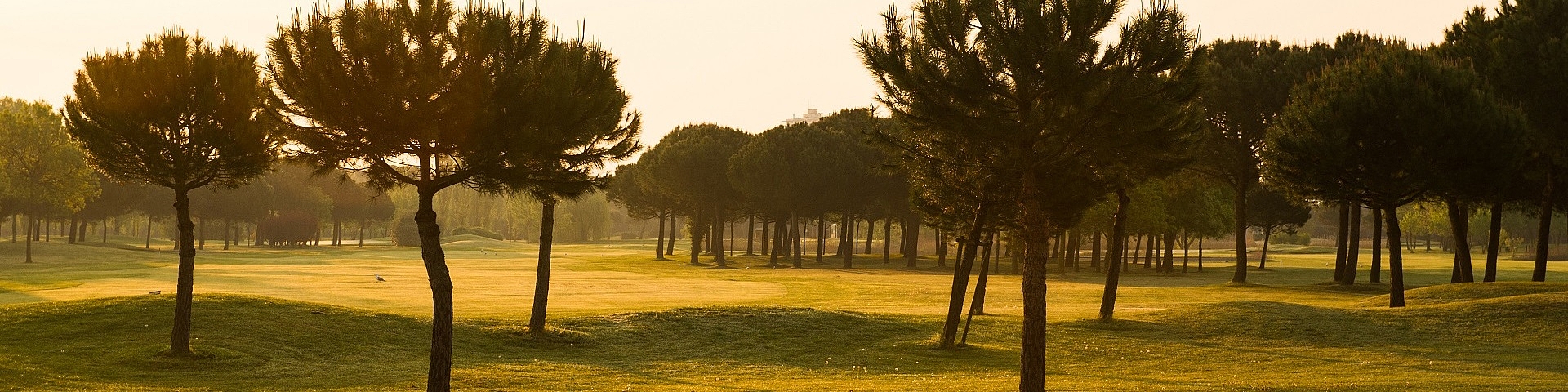 Emilia Romagna Golf