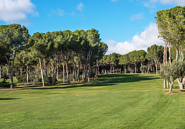 Golf Santa Ponsa II | Golf på Mallorca