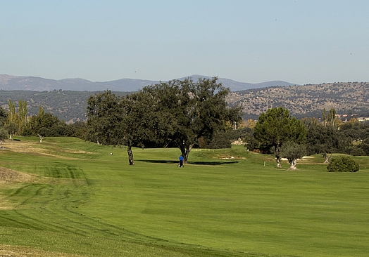 Club de Golf La Dehesa | Golf i Madrid