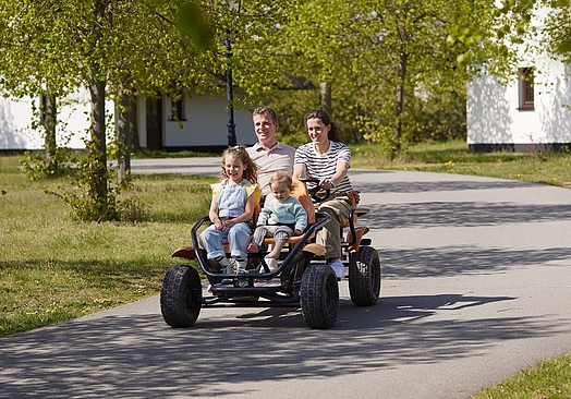 Van der Valk Resort Linstow | Gocart family