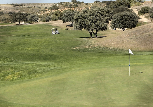 Club de Golf El Robledal | Golf i Madrid