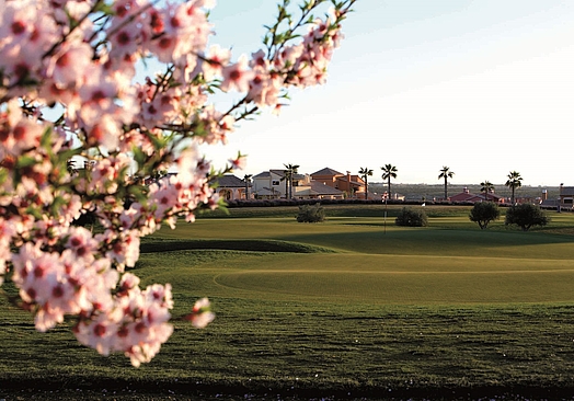 Ona Hacienda del Alamo Golf Resort | Golf i Murcia
