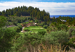 Chaparral Golf Club