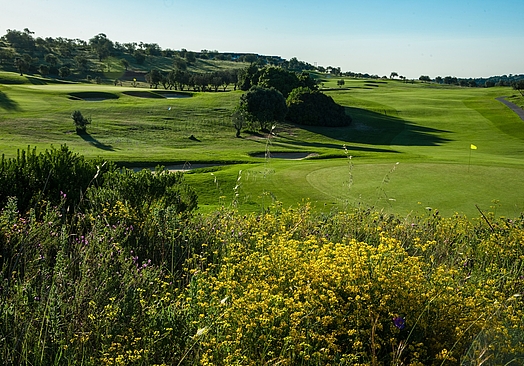 NAU Morgado Golf & Country Club | Morgado Golf Course