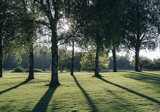 Rungsted Golf Klub