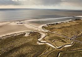 Urban Nature St. Peter-Ording