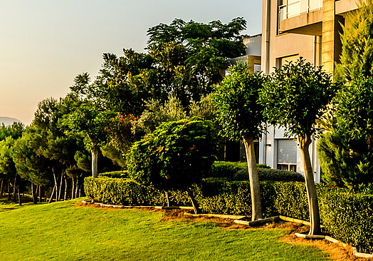 El Plantío Golf Resort