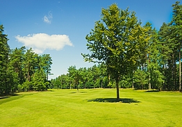 Sjöbo Golfklubb