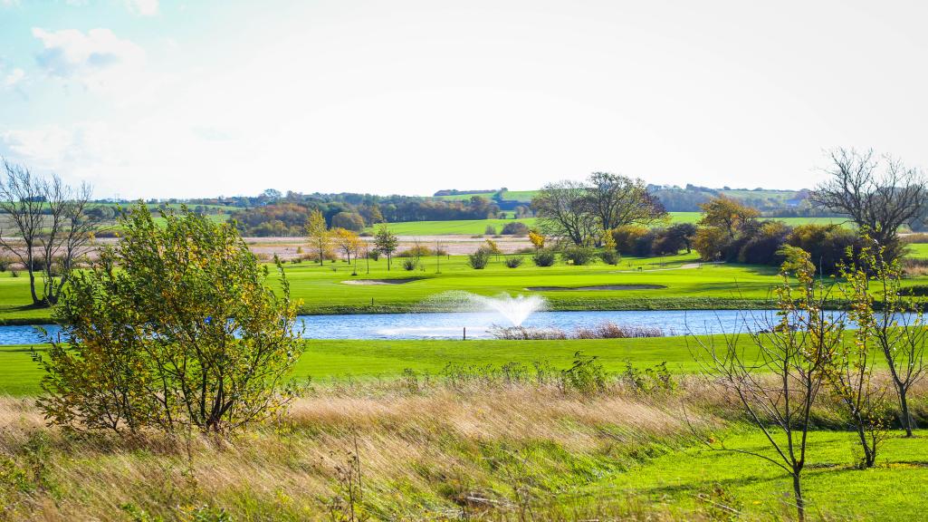 petroleum Cordelia flyde Sønderborg Golfklub