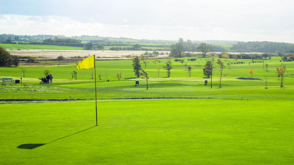 petroleum Cordelia flyde Sønderborg Golfklub