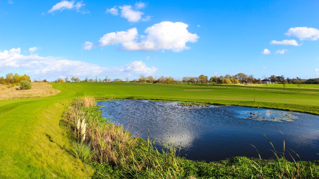 petroleum Cordelia flyde Sønderborg Golfklub