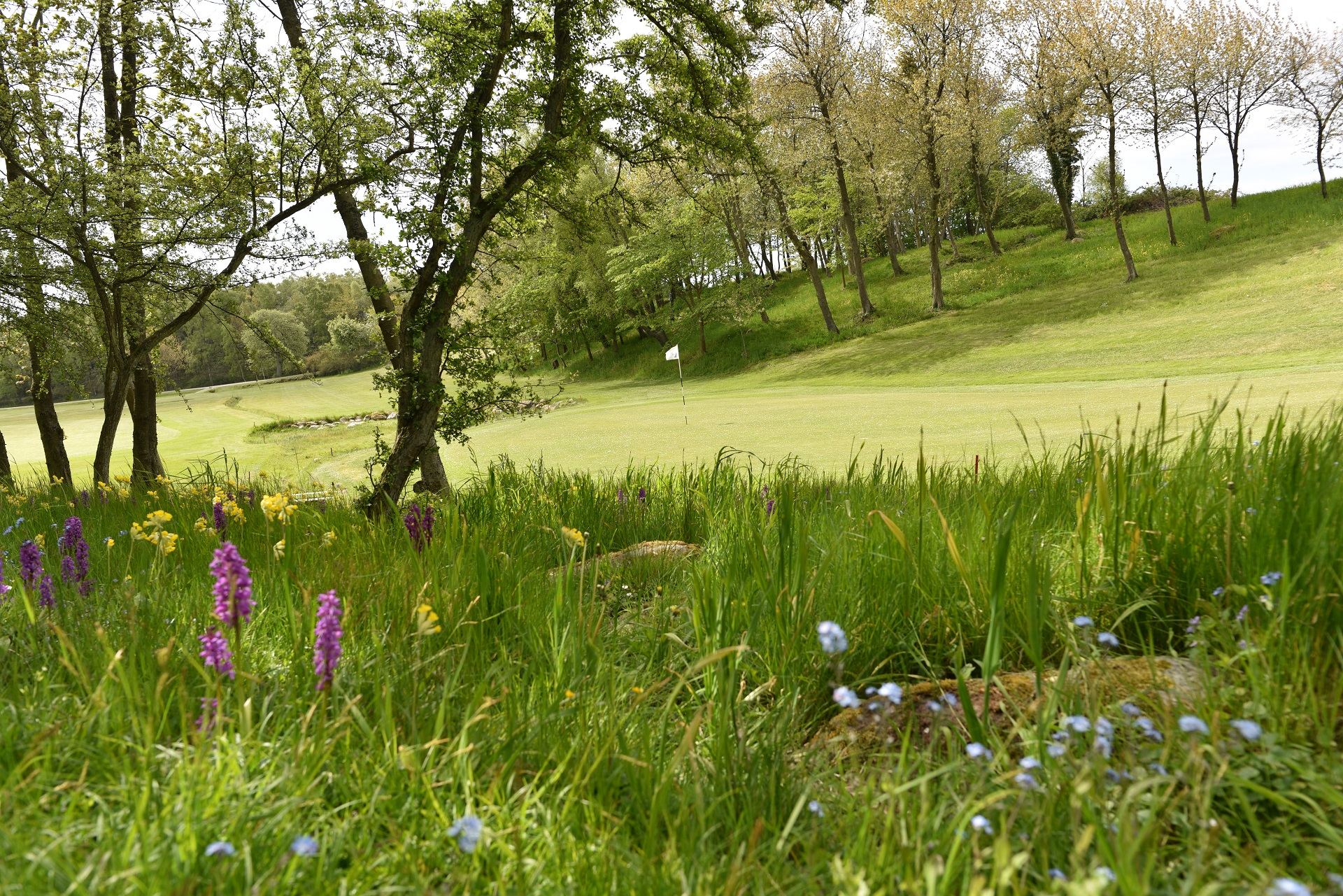 Også Men Jeg bærer tøj Bornholms Golf Klub | Golfbane Rønne | NordicGolfers