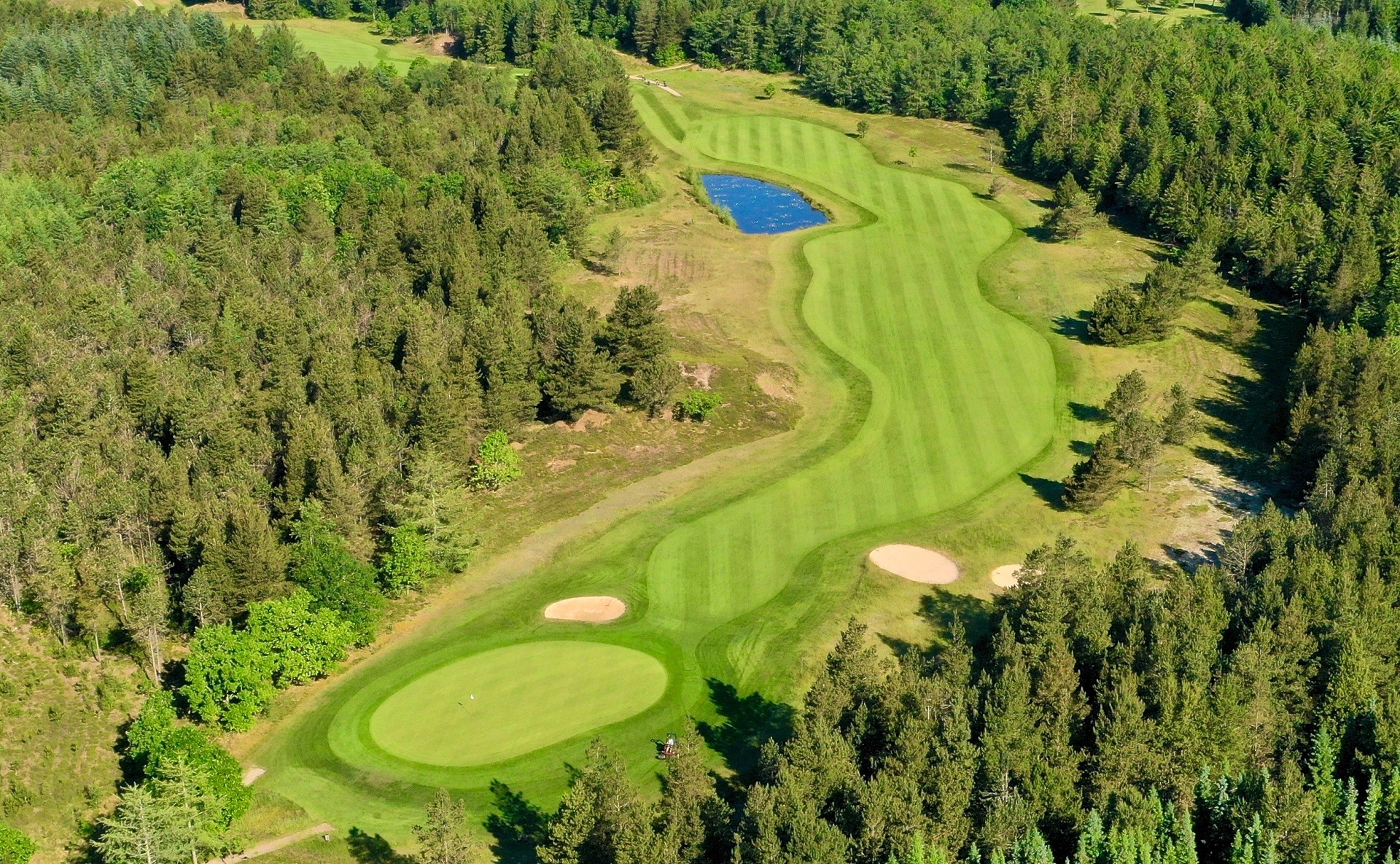 Wardian sag dal Anmeldelse Holstebro Golfklub - Skovbanen