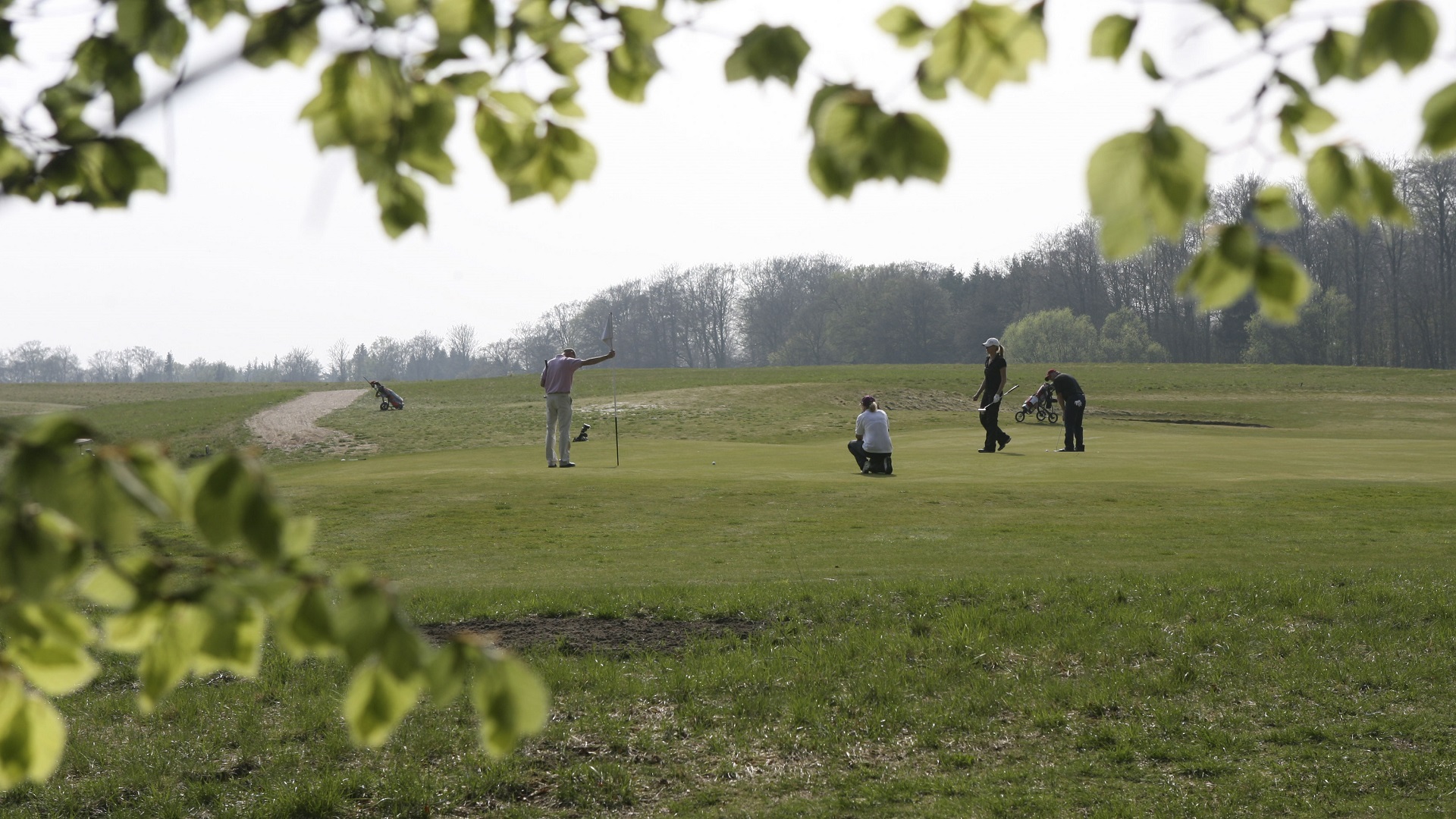 Abe Søgemaskine markedsføring Regelmæssigt Ledreborg Palace Golf Club