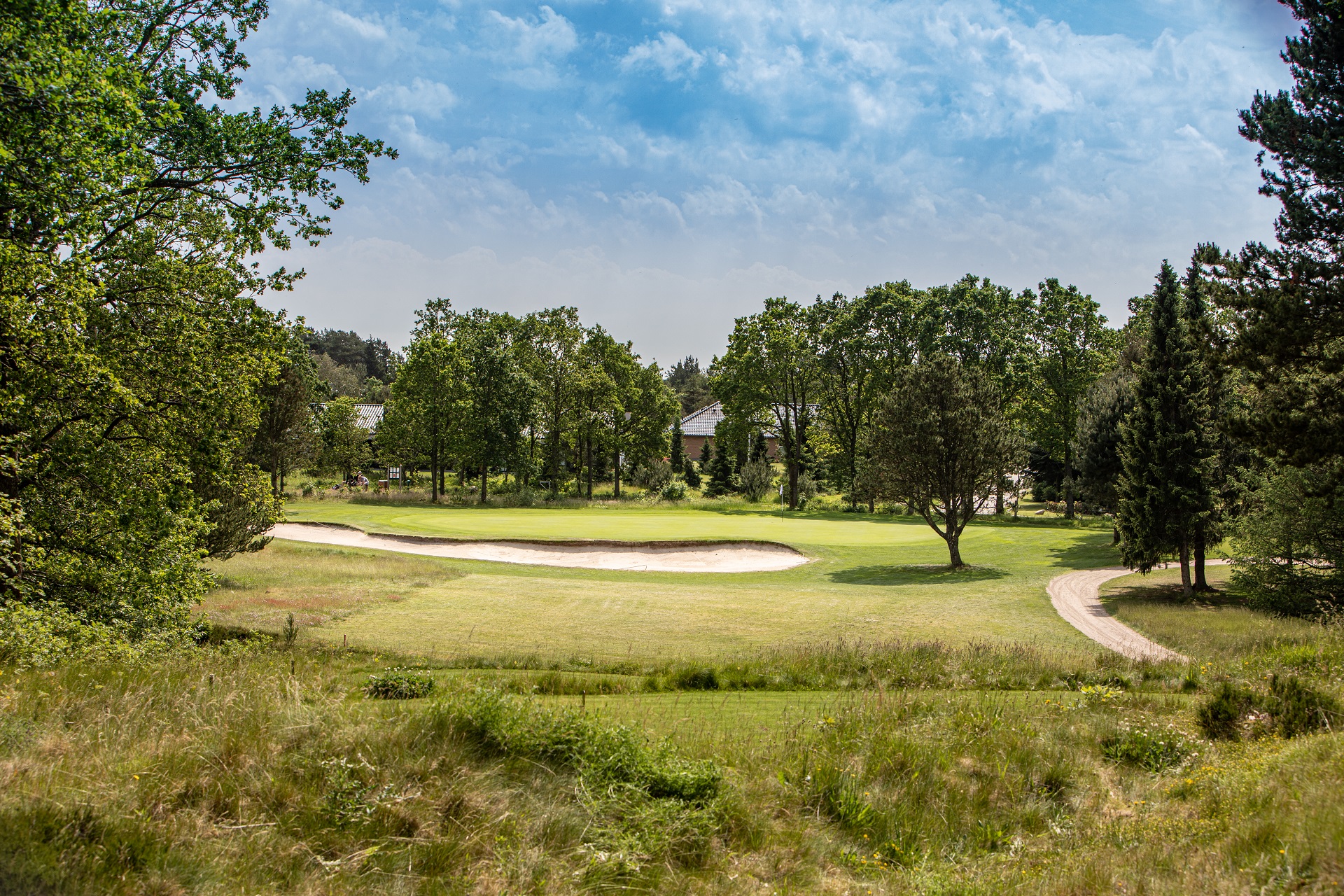 Wardian sag dal Anmeldelse Holstebro Golfklub - Skovbanen