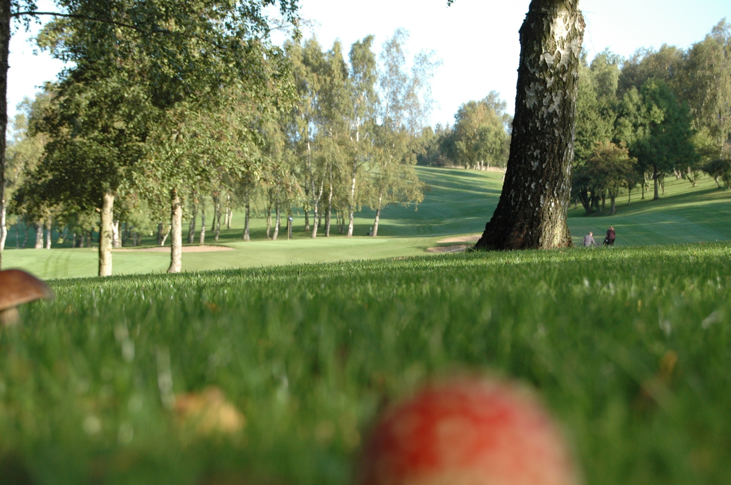 Vær stille Somatisk celle Fundament Svendborg Golf Klub