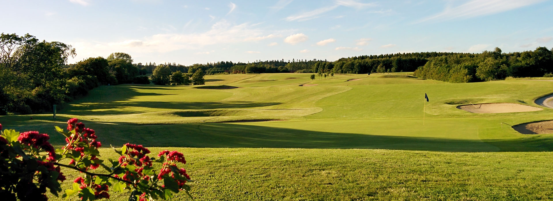 Resignation Brandy En nat Svendborg Golf Klub | Golfbane Fyn | NordicGolfers.com