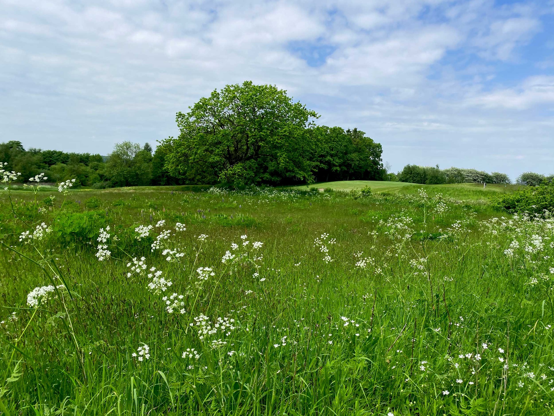 Hotel Faaborg Fjord Spa & Konference