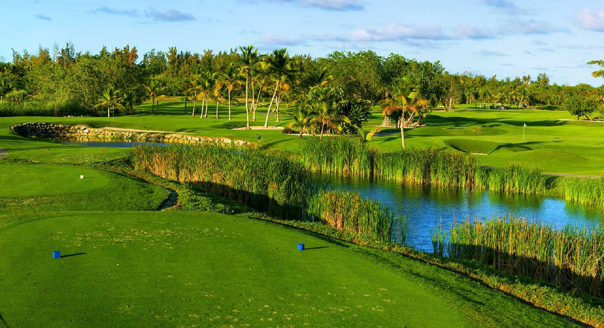 Barceló Bávaro Beach | Golf i Punta Cana