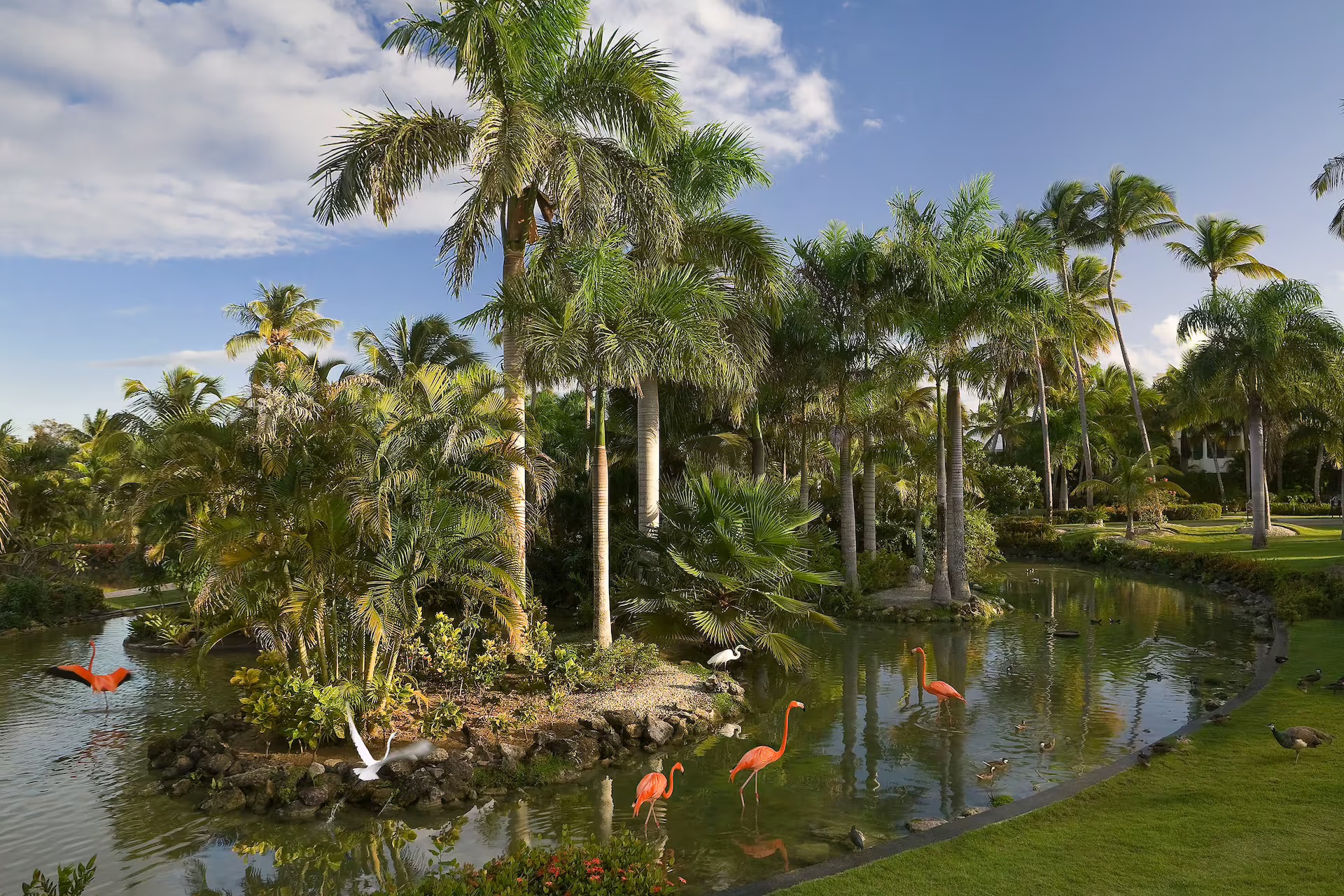 Meliá Punta Cana Beach
