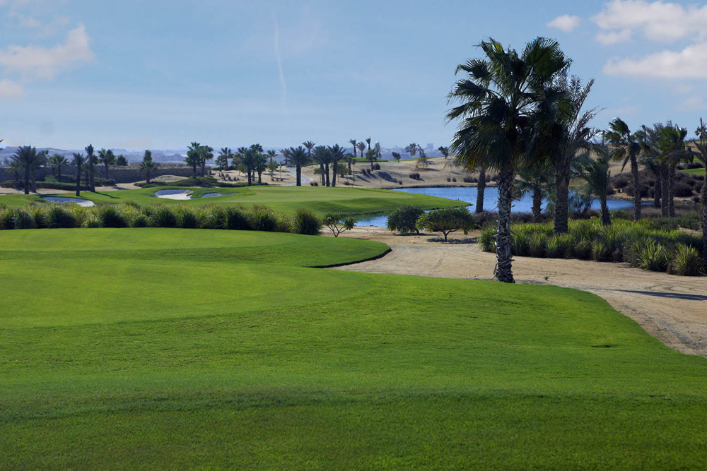 Palm Hills Golf Club