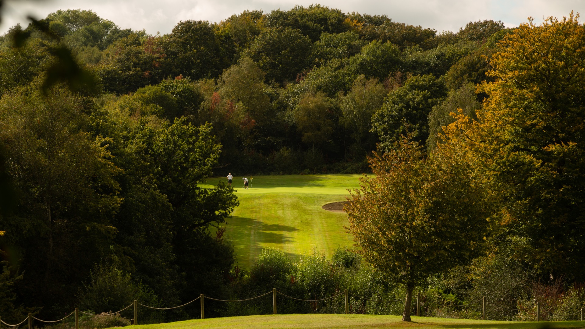 Dale Hill Golf Resort