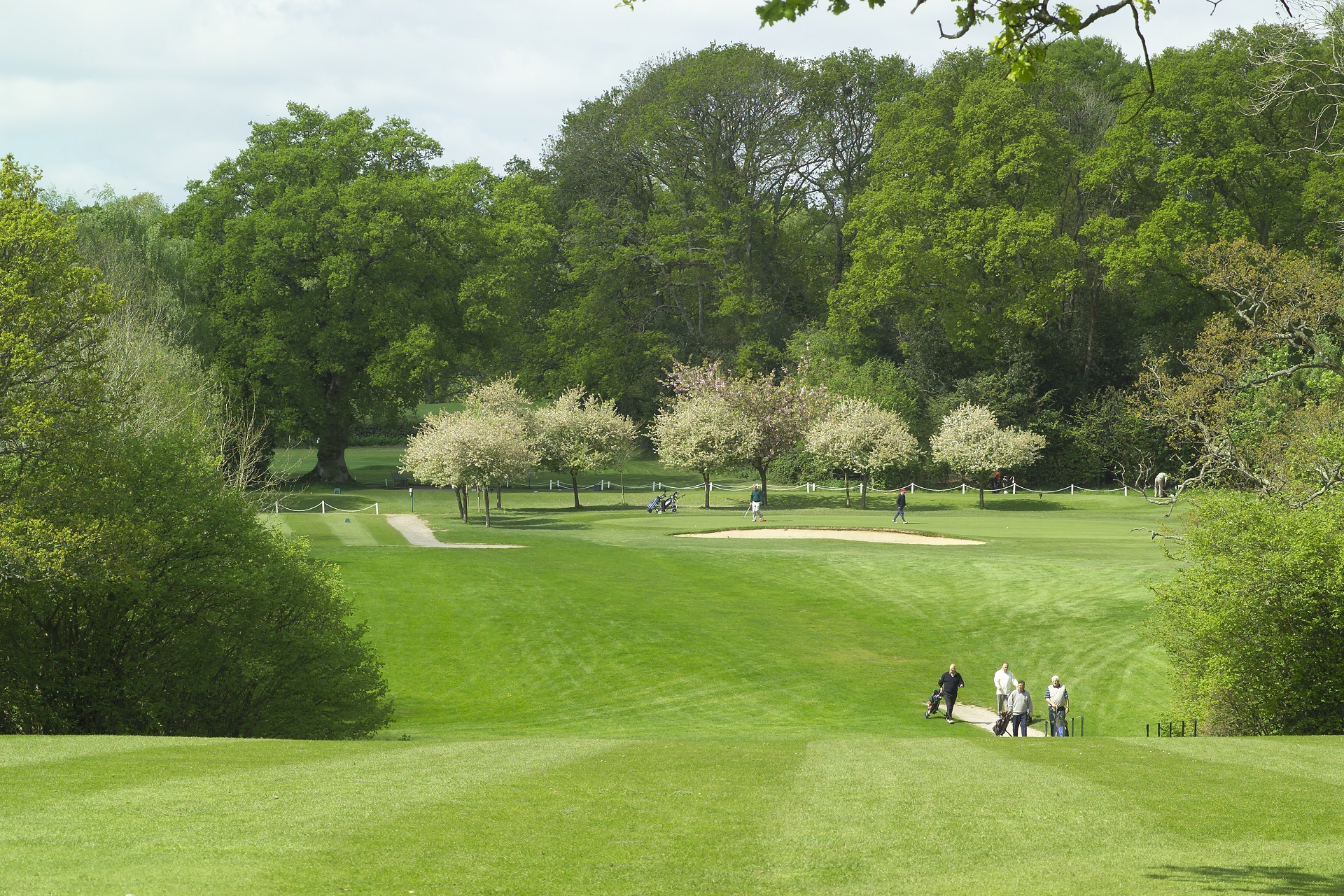 The Bell Inn and Bramshaw Golf Resort