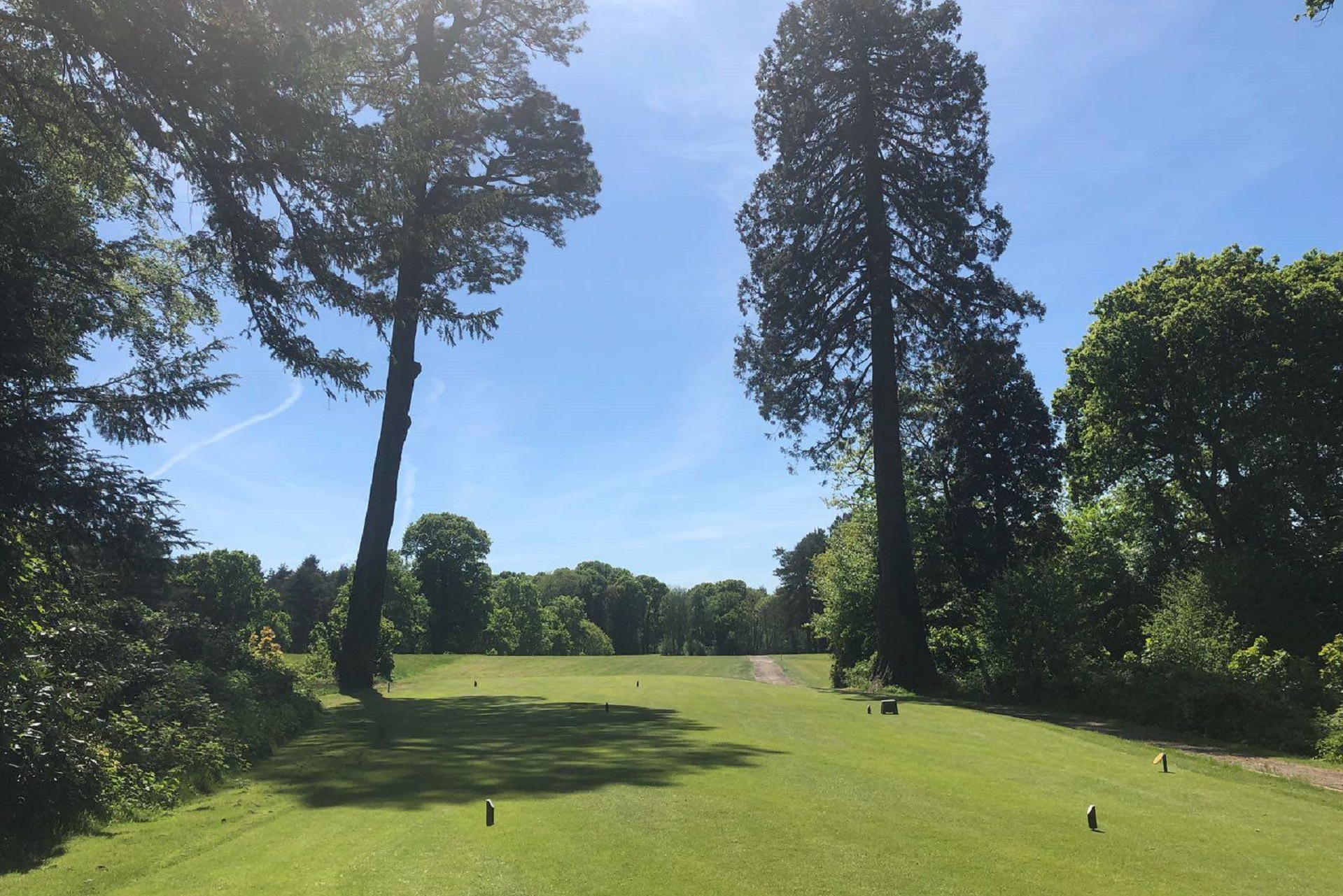 The Bell Inn and Bramshaw Golf Resort