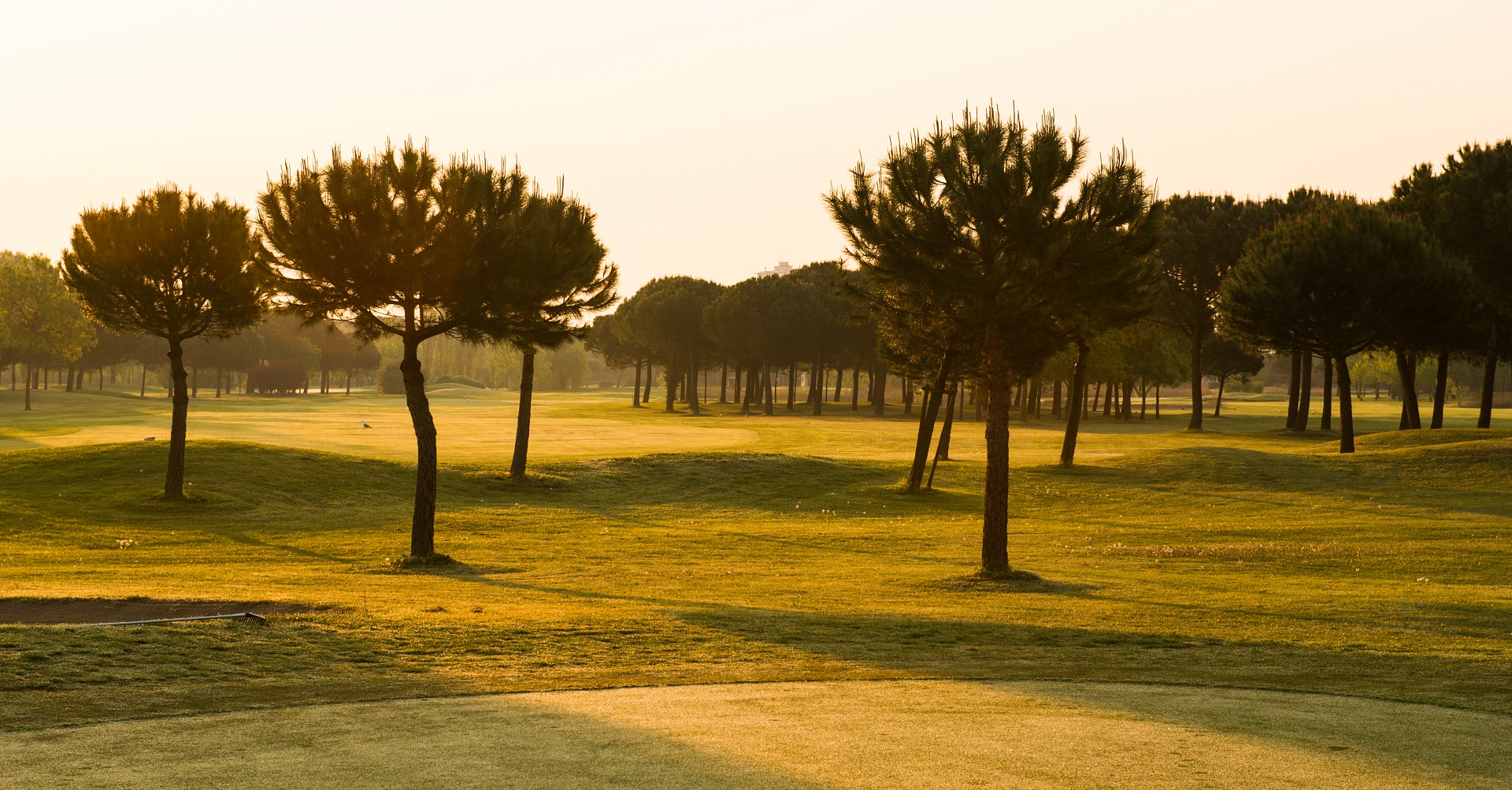 Adriatic Golf Club Cervia | Golf i Emilia Romagna