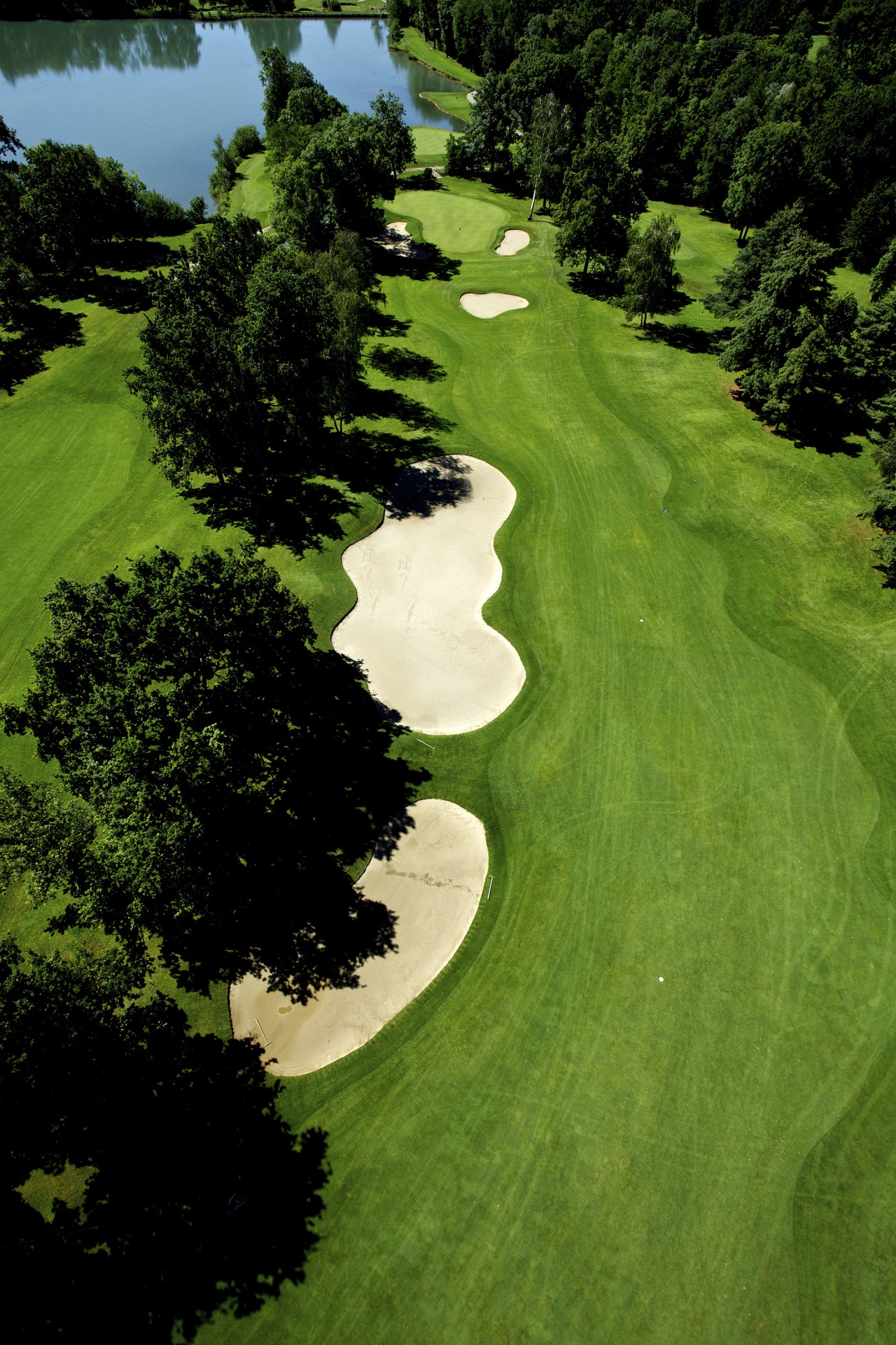 Circolo Golf Torino - La Mandria