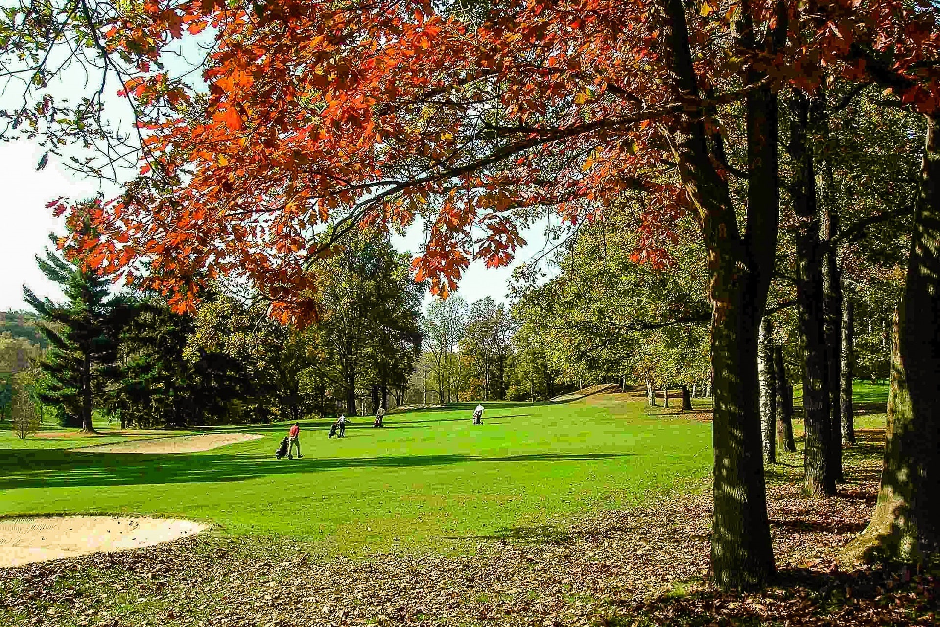 Le Betulle Golf Resort