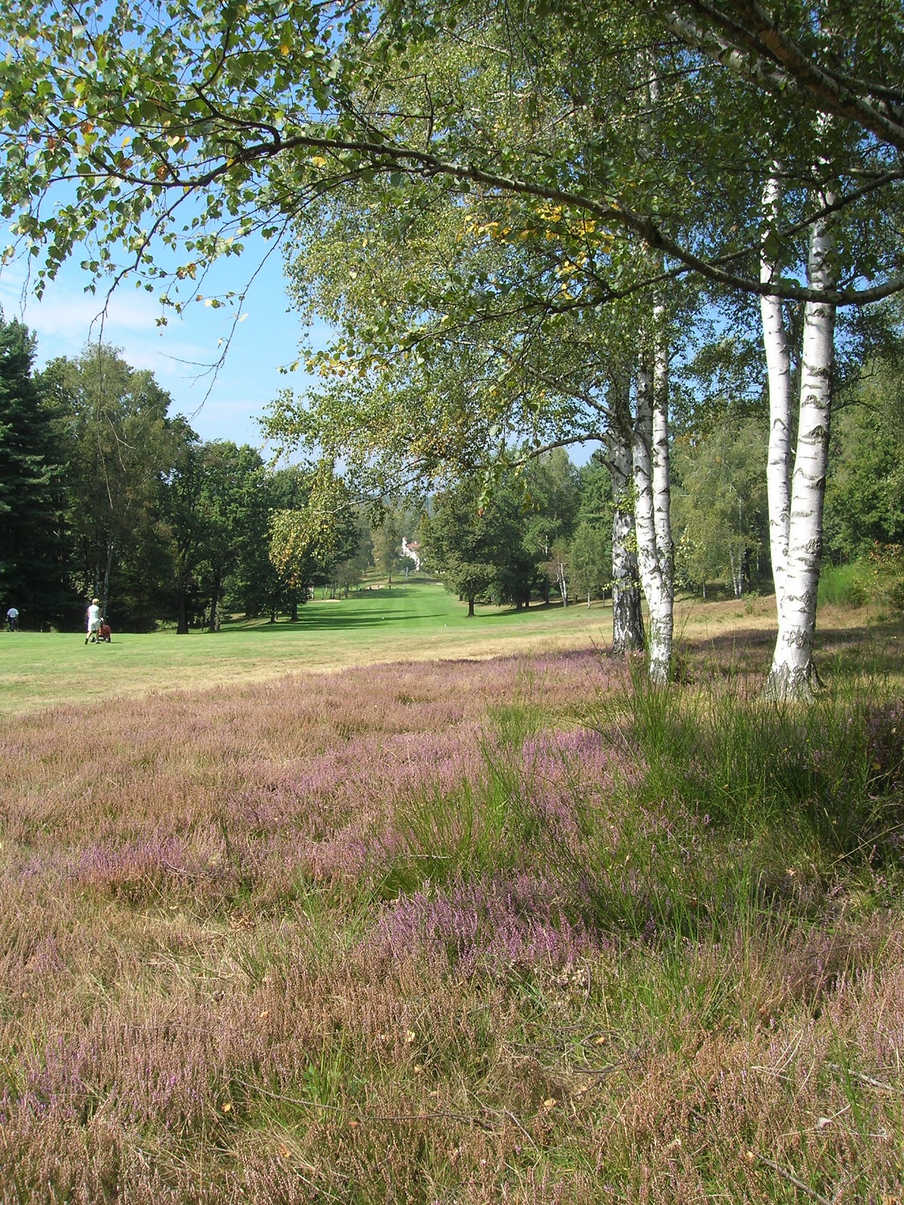 Le Betulle Golf Resort