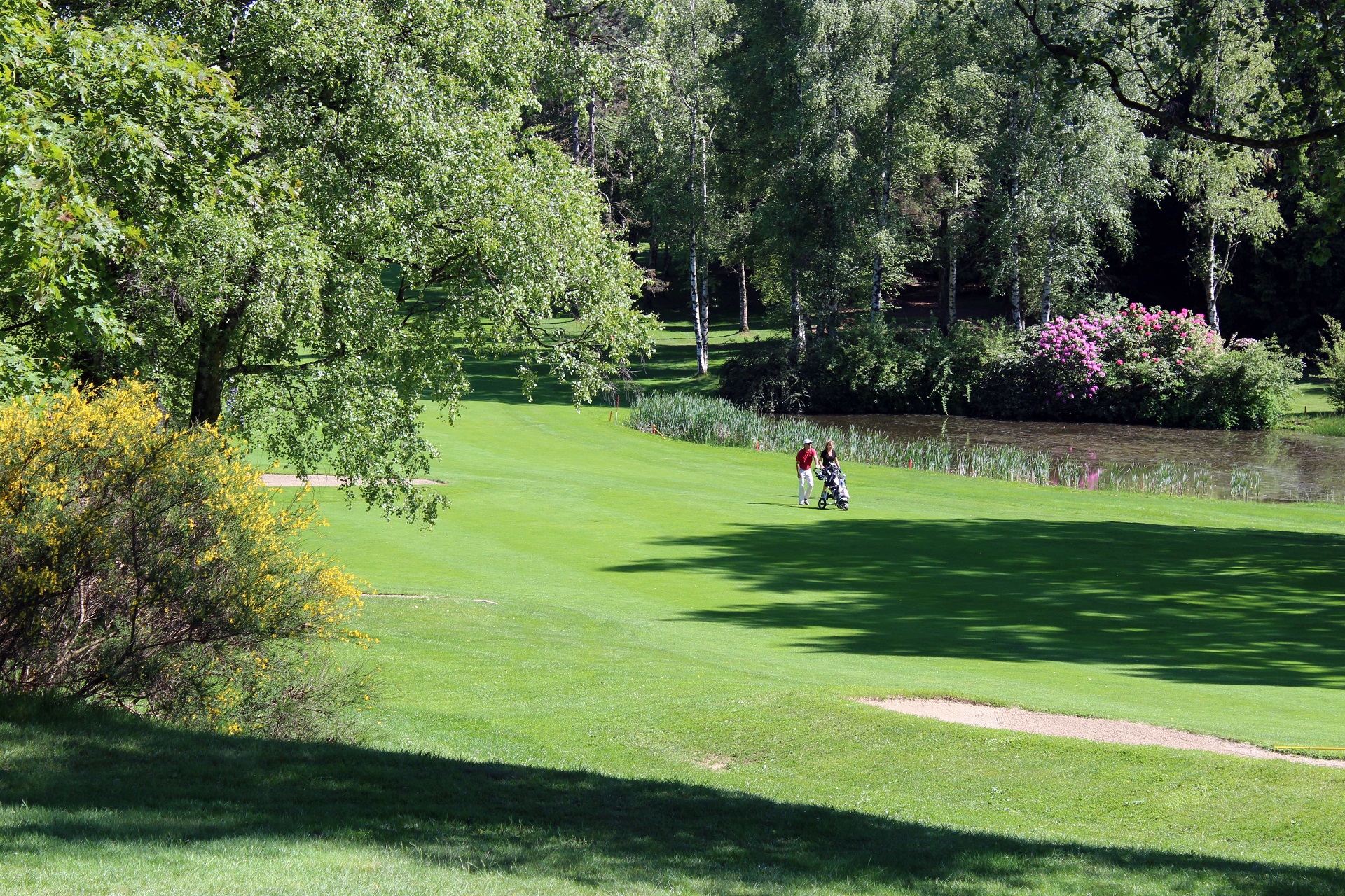 Le Betulle Golf Resort