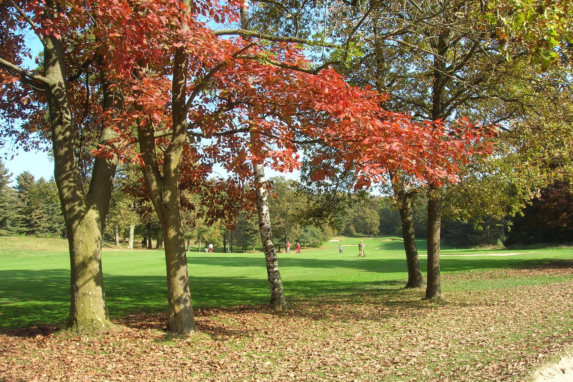 Le Betulle Golf Resort