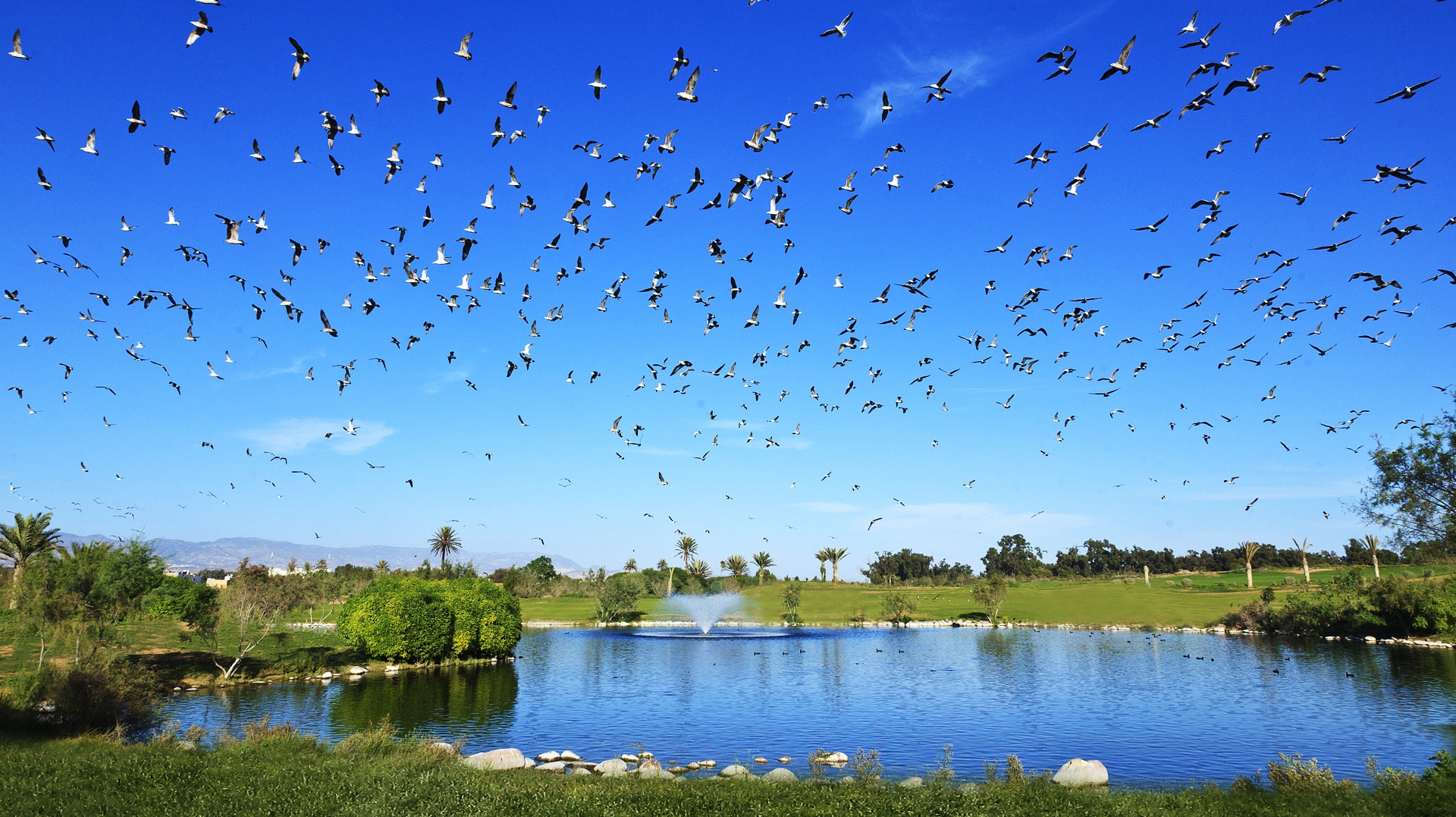 Golf de l'Océan