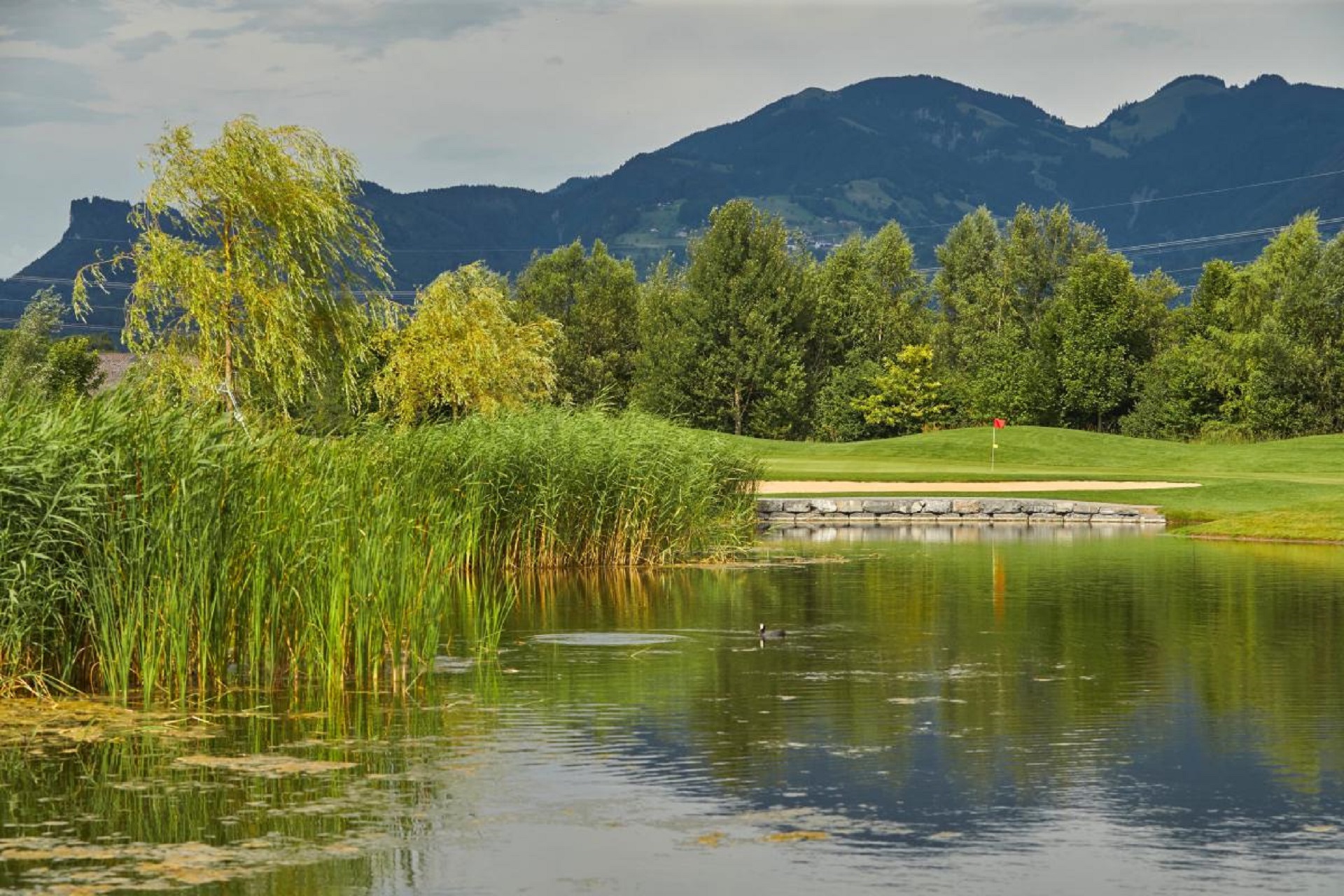 Golfclub Montfort Rankweil | Golf i Vorarlberg