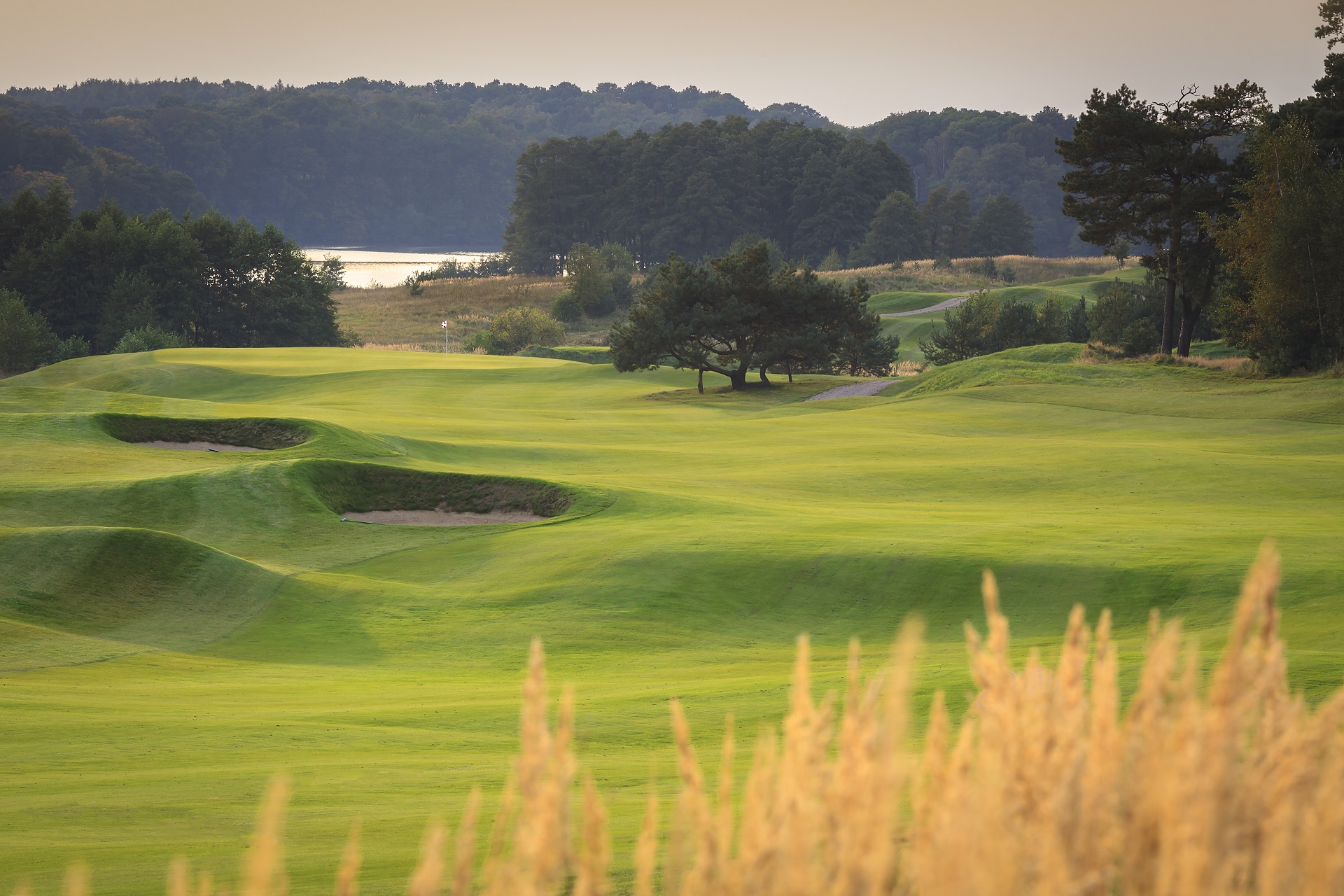 Modry Las Golf Resort | Golf i Polen