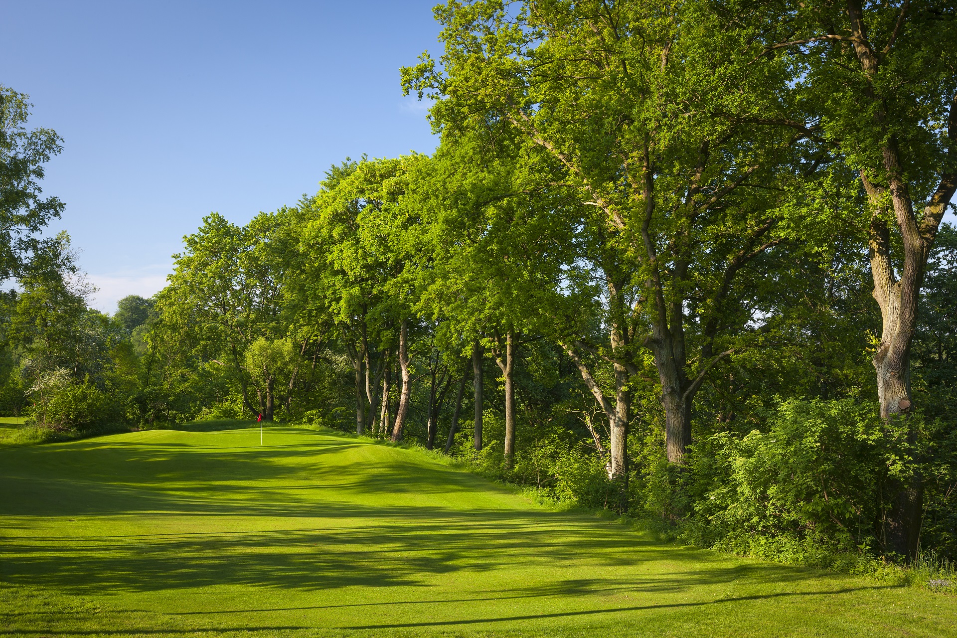 Modry Las Golf Resort | Ori Las