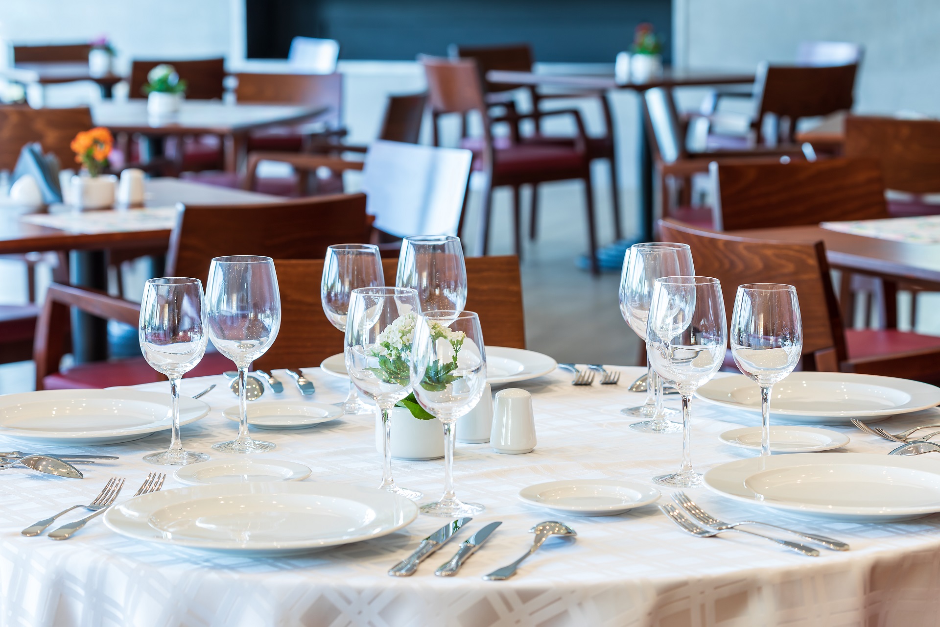 Modry Las Golf Resort | Golf i Polen