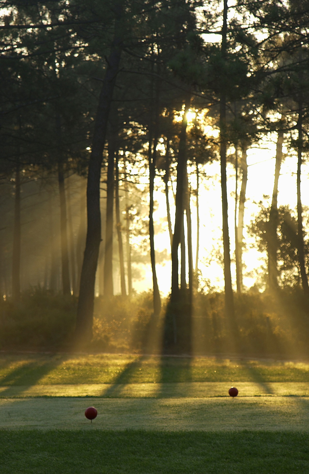 Aroeira Golf Courses | Aroeira Pines Classic